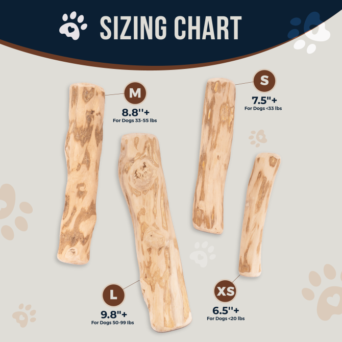 Coffee Dog Wood Chew Stick - Real Chew Toy for Dogs - 100% Natural Puppy Chew Toys for Teething, Organic Wood Stick Helps with Stress Relief - Natural Chew Toy - Image 2