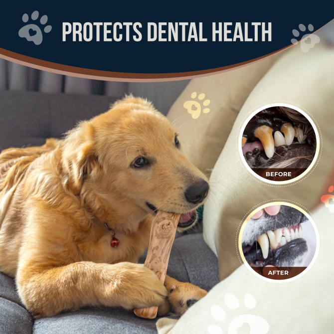 Coffee Wood Dog Chew Stick, 2 Pack Size Small, Dog Teeth Cleaning & Relieve Stress, Organic Toys - Image 3