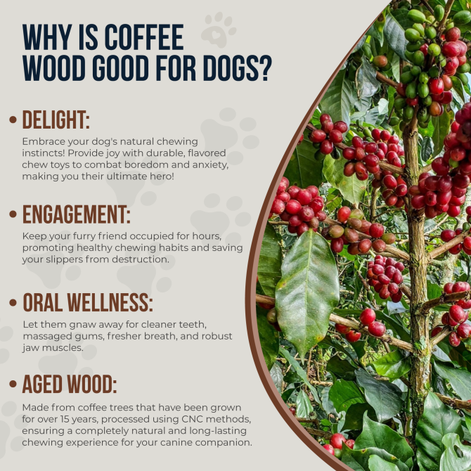 Coffee Dog Wood Chew Stick - Real Chew Toy for Dogs - 100% Natural Puppy Chew Toys for Teething, Organic Wood Stick Helps with Stress Relief - Natural Chew Toy - Image 3